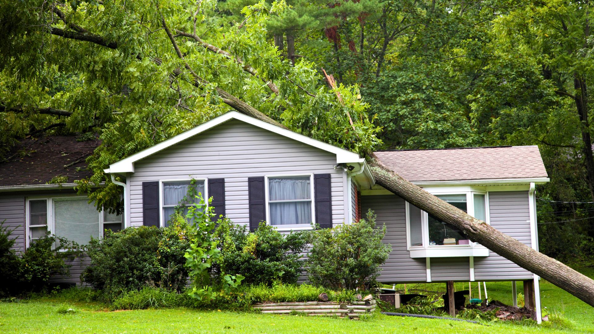 Arbre tombé sur une maison à Shawinigan